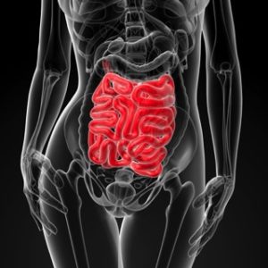 causes of leaky gut