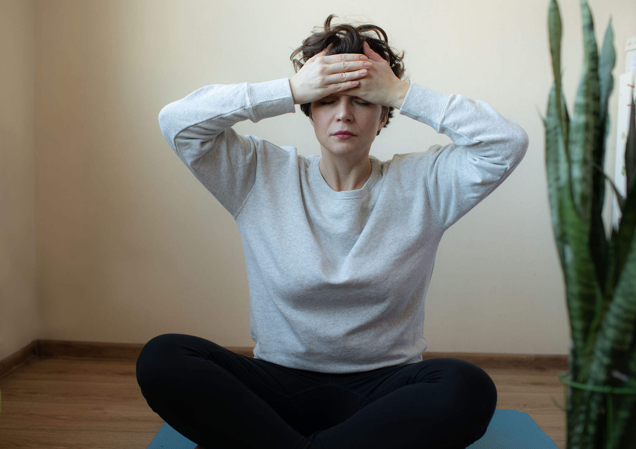 brain fog and Hashimoto’s thyrosisters