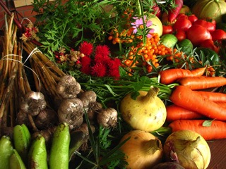 Real food counters hormone imbalances