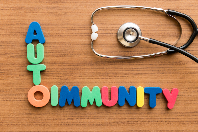 leaky gut autoimmunity and hashimoto's