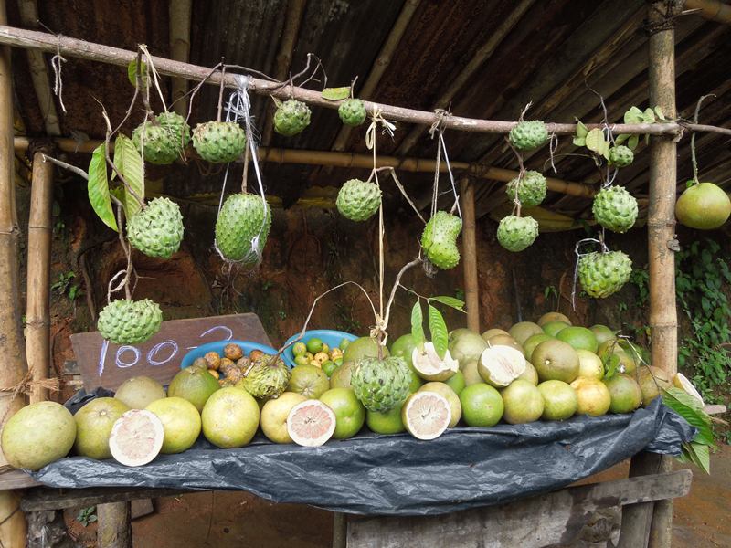 Support gut bacteria with plentiful and varied produce