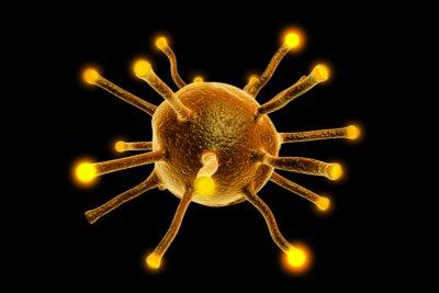 viral infections autoimmunity