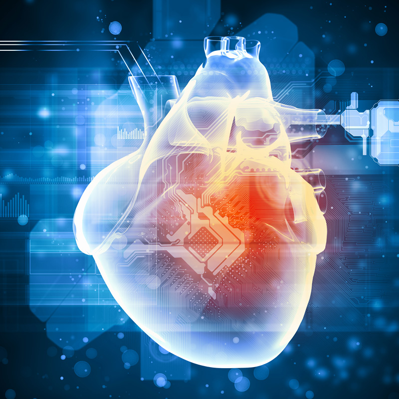 Eliminate carbs not fat for heart health