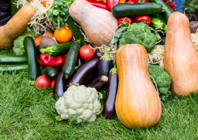 Organic diet reduces cancer risks