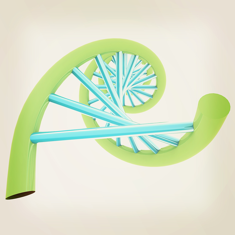 epigenetics intergeneational
