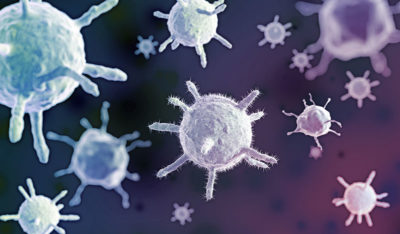 virus triggers autoimmune disease