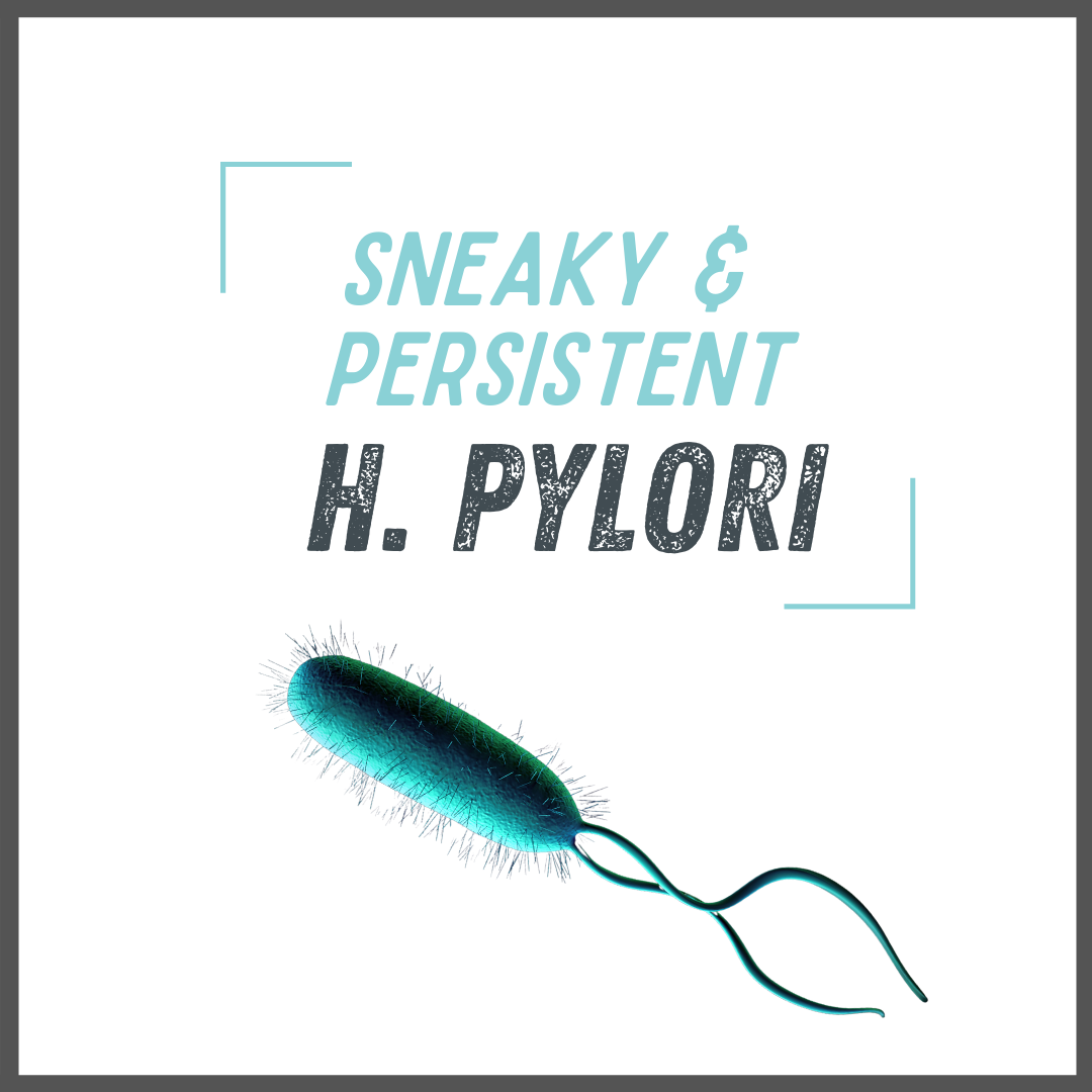 Is H Pylori The Cause Of Your Leaky Gut And Other Stomach Issues