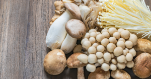Mushrooms as Medicine