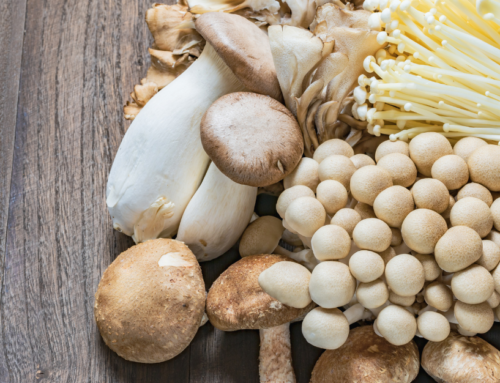 Mushrooms: Superfood Benefits and Medicine